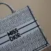 Christian Dior Stripes book tote AAA+ bags #A42328