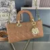 Dior Elegant and classic  lady d-joy  portable shoulder back  crossbody bag #A22909