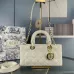 Dior Elegant and classic  lady d-joy  portable shoulder back  crossbody bag #A22911