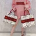 New Dior AAA+ Handbag Dior Chinese Valentine's Book Tote canvas tote embroidered Graffiti tote bag #99116984