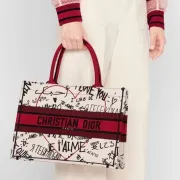 New Dior AAA+ Handbag Dior Chinese Valentine's Book Tote canvas tote embroidered Graffiti tote bag #99116984