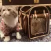 Louis Vuitton pet bag #A38975