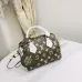 Louis Vuitton AAA+ Handbags #999924089