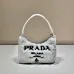  Prada Plush velvet  new style  Bag  #A31059