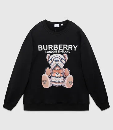 Burberry Hoodies high quality euro size #999926518