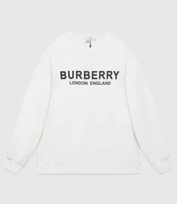 Burberry Hoodies high quality euro size #999926736