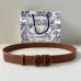 Dior AAA  3.0 cm new style belts #999929883