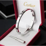 Cartier Bracelets #9111418