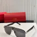 Cartier AAA+ Sunglasses #A35396