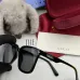 Gucci AAA Sunglasses #A39925