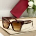 Valentino Sunglasses AAA+ #A36216