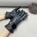 Louis Vuitton Glove #A42890