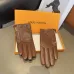 Louis Vuitton Glove #A42903