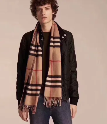 Burberry Scarfs #9130383