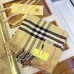 Burberry Scarfs #999902459