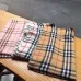 Burberry Scarfs #999919175