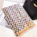 Louis Vuitton Scarf #99901635