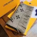 Louis Vuitton Scarf #999902473