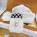 Louis Vuitton Scarf #999915969