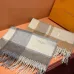 Louis Vuitton Scarf #A41814