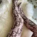 Fashion Custom Printed Women Letters Letter Printed Sexy Women Tights Free size Stocking Pantyhose #999929985