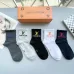 Louis Vuitton socks (5 pairs) #A41954