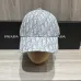 Dior Hats #A32158