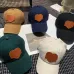 Louis Vuitton AAA+ hats &amp; caps #A36282