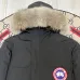 2022 Canada Goose Long Down Coats men and women #999928503