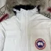 2022 Canada Goose Long Down Coats men and women #999928506