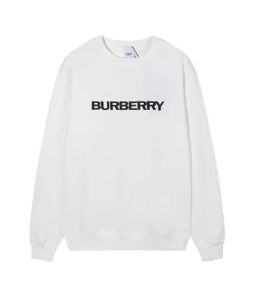 Burberry Hoodies for Men #999927041