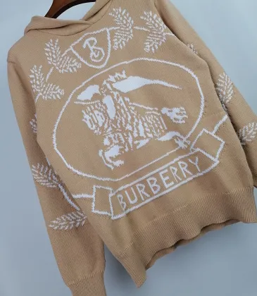 Burberry Hoodies for Men #999930938