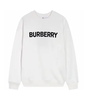 Burberry Hoodies for Men #A29308