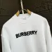 Burberry Hoodies for Men #A44528