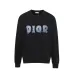 Dior hoodies for Men #A41053