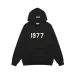 FOG Essentials Hoodies #999928681