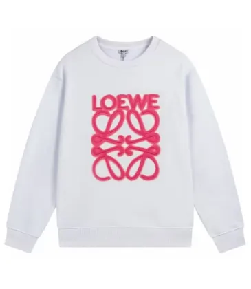 Loewe Hoodies #A28234