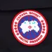 Canada goose jacket 19fw expedition wolf hairs 80% white duck down 1:1 quality Canada goose down coat for Men and Women #99899257