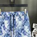 Louis Vuitton Pants for Louis Vuitton Short Pants for men #A34841