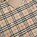 Burberry Shirts for Burberry Men's AAA+ Burberry Long-Sleeved Shirts #99902071