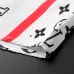 Louis Vuitton Shirts for Louis Vuitton long sleeved shirts for men #A33964