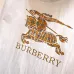 Burberry Tracksuits for Burberry Short Tracksuits for men #A36935