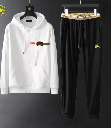 Burberry Tracksuits for Men's long tracksuits #999926616