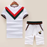 Gucci Tracksuits for Gucci short tracksuits for men #9122713