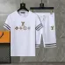 Louis Vuitton tracksuits for Louis Vuitton short tracksuits for men #A32591