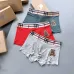 Burberry Underwears for Men (3PCS) #99117248