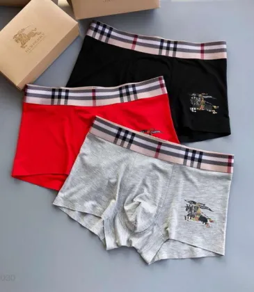 Burberry Underwears for Men (3PCS) #99117249