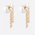 Dior Earrings #999916169