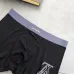 Louis Vuitton Underwears for Men (3PCS) #99117269