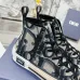 Dior Shoes for Men's and women Sneakers #A35112